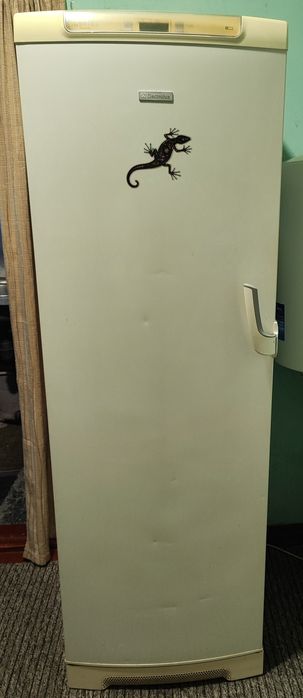 Морозильна камера ELECTROLUX на 267 літрів