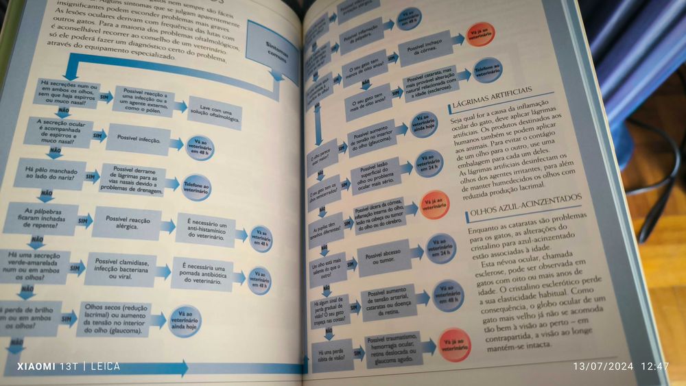 O meu Gato do Dr. Bruce Fogle