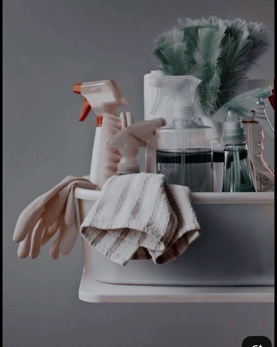 Domestic Cleaning Services – Lisbon / Limpeza Doméstica Lisboa