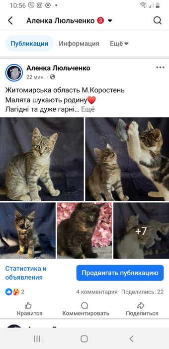 Безкоштовно.Три гарні дівчинки шукають родину