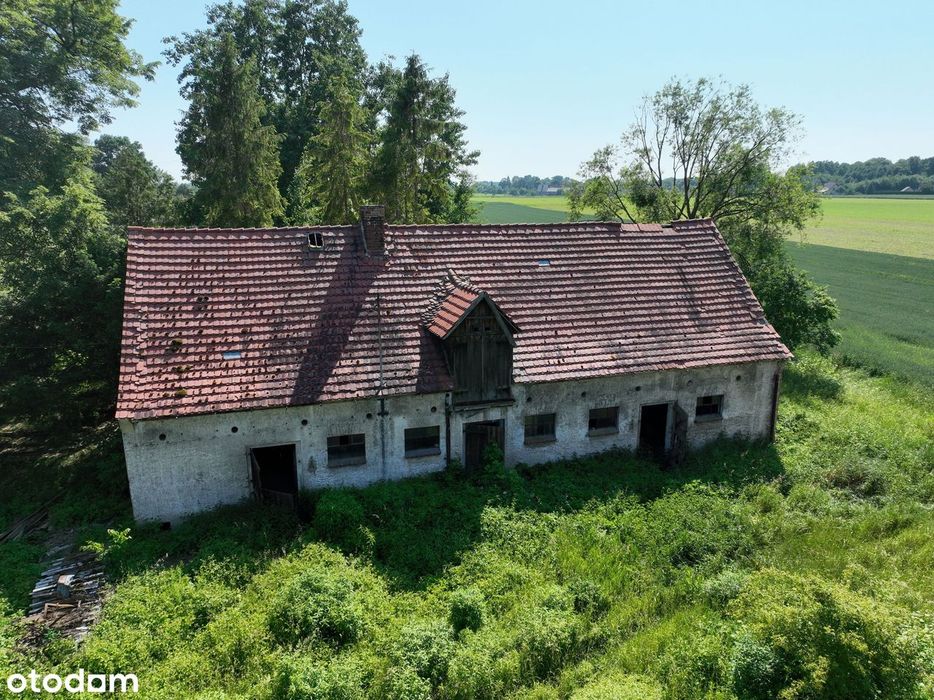 Siekierkowo - nieruchomość z 3 budynkami (siedlisko) - View 2