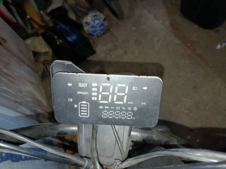 Продам фаду рітмо 2023