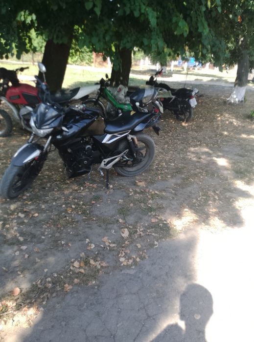 Продам геон пантера