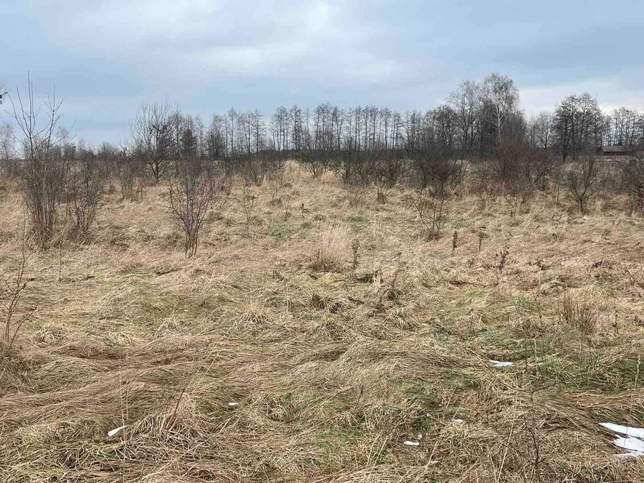 Земельна ділянка 25 сот. с. Замочок