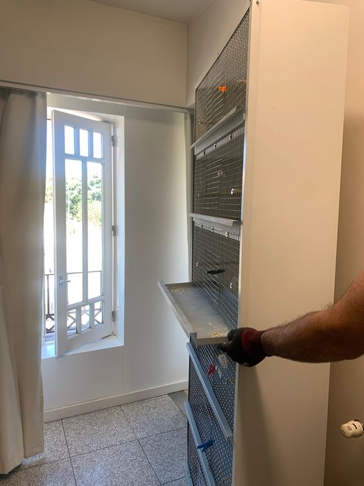 Móvel gaiola com 6 andares