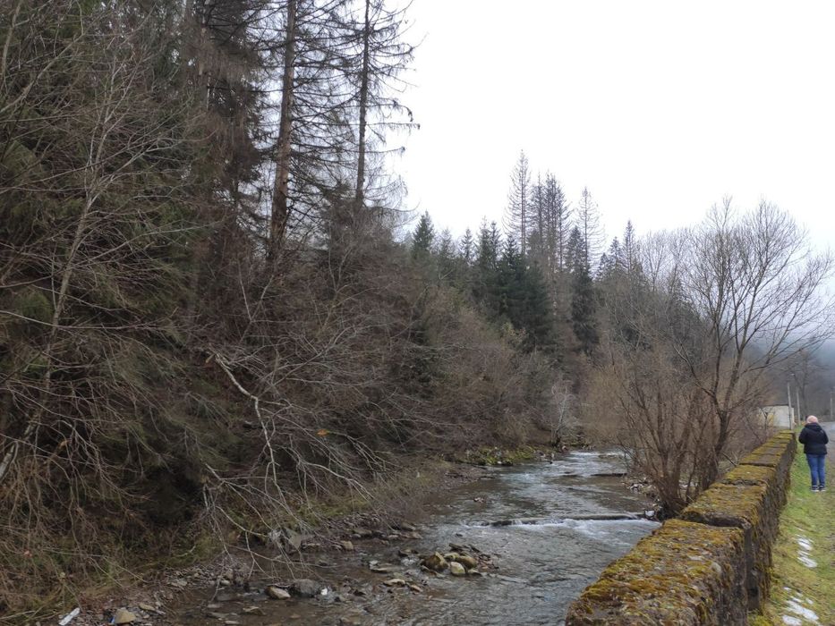 Дикий зруб у Карпатахк— свій еко-будинок у горах