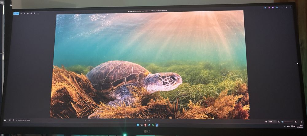 Monitor LG 34WN780-B (34'' - QHD+ - LED IPS - AMD FreeSync)