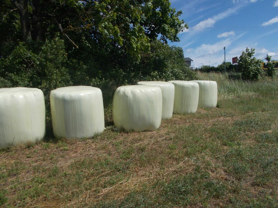 baloty 120, siana, sianokiszonka.lucerna, siano, słoma