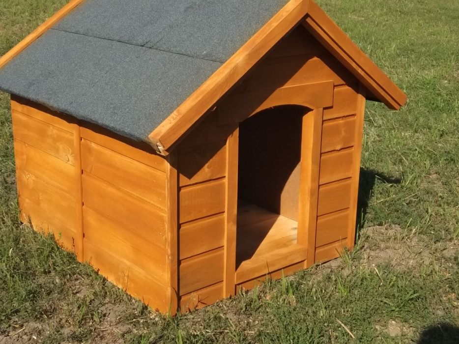 Buda dla psa.  Promocja.