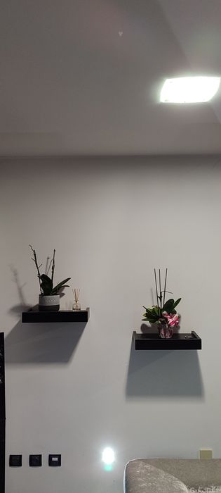 Prateleiras suspensas para desocupar