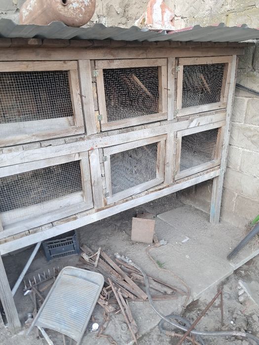 Klatka dla królików