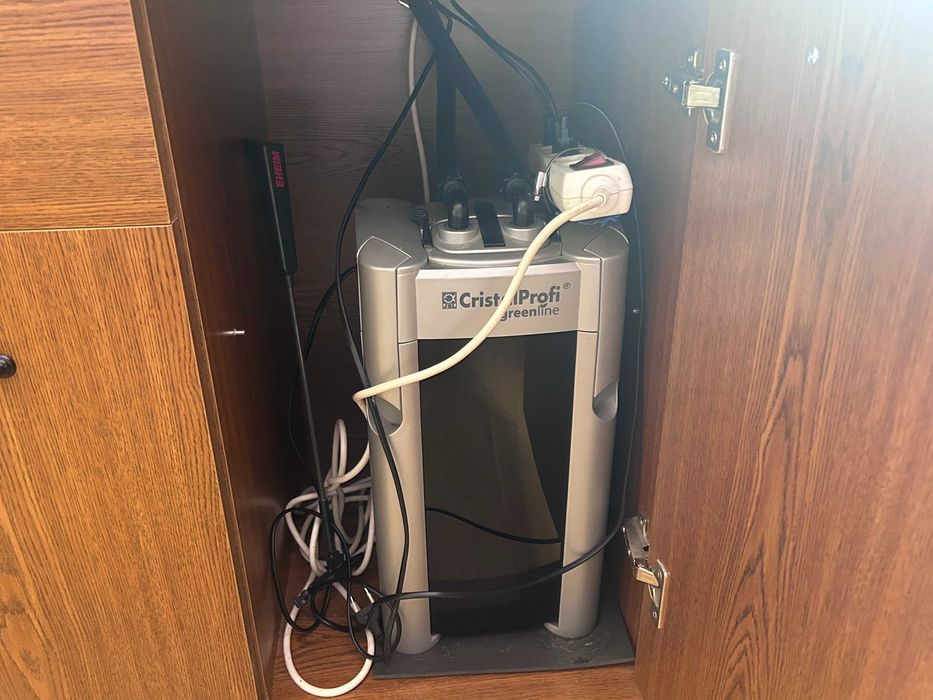 Akwarium kompletne z życiem