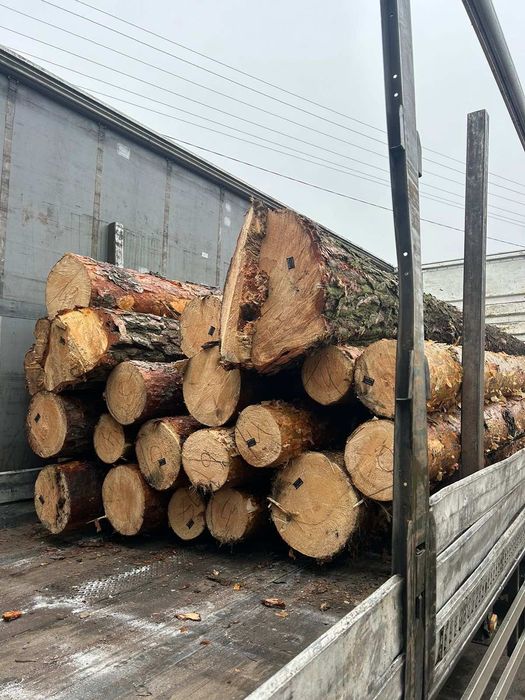 Пиломатериали Кругляк