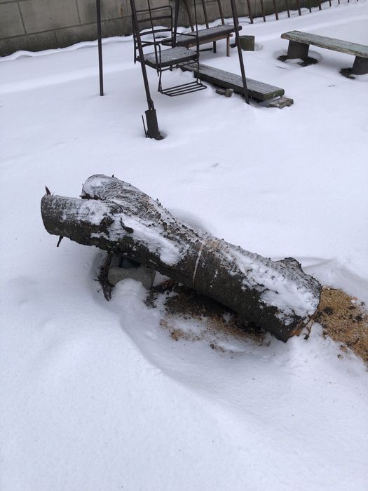 Продам дрова Черешня