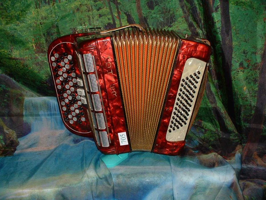 Promoção de Acordeões de concertinas