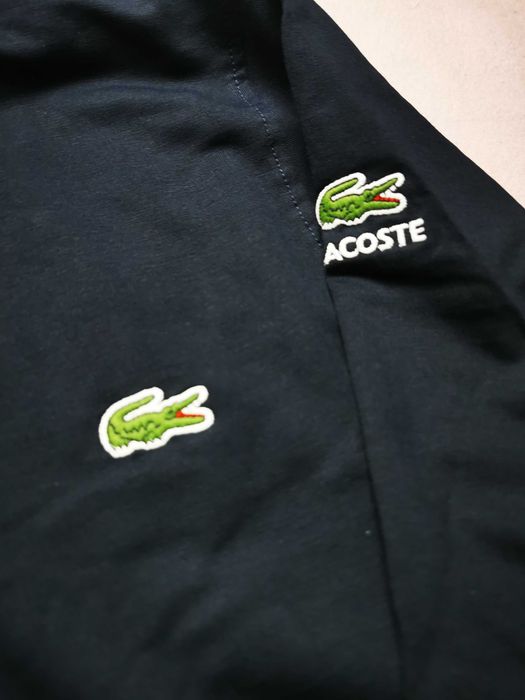 Bluza męska Lacoste granatowa mały znaczek nowość bawełna bluzy