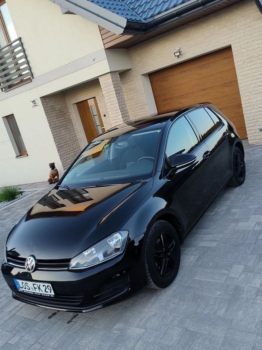 Volkswagen Golf Fajny VW Golf!