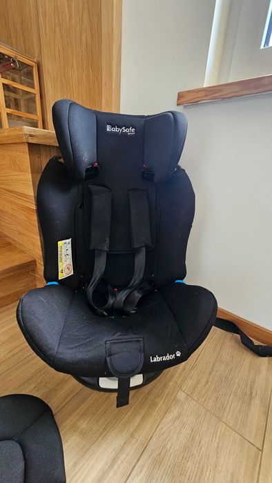 Babysafe Labrador Czarny 0-36 fotelik samochodowy