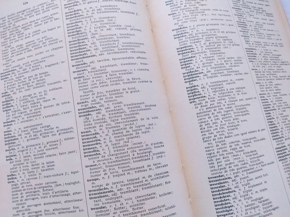 Dicionário de Português Francês. Olívio de Carvalho. 1974