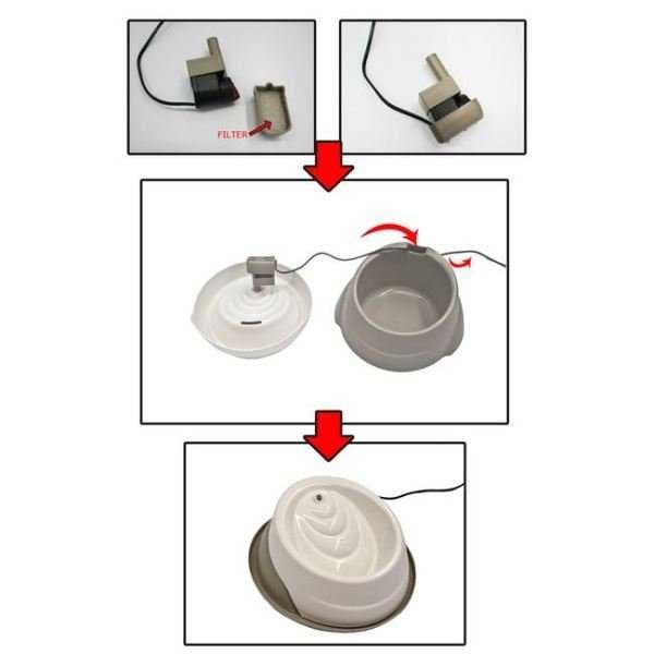 Ração Seca ROYAL CANIN Renal Para Gatos 4Kg + OFERTA De Fonte De Água