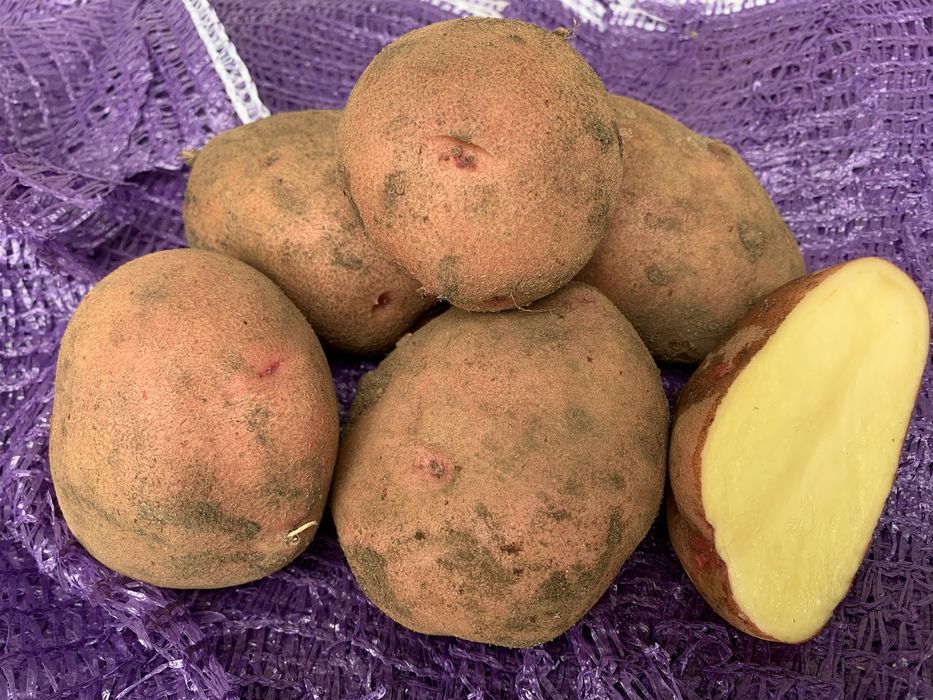 Картопля домашня з доставкою