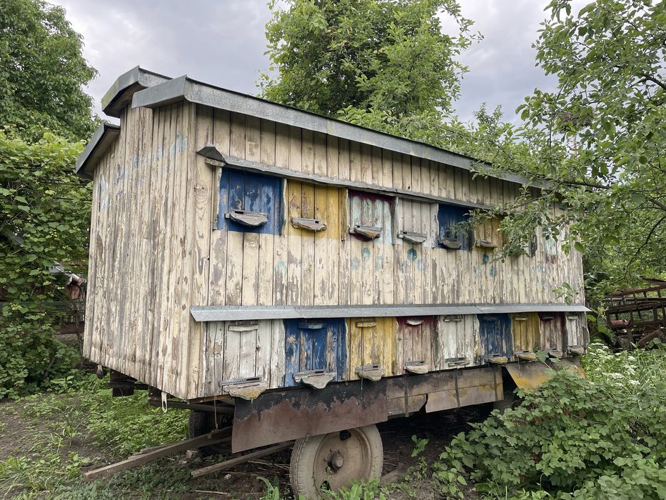 Павільйон бджолиний