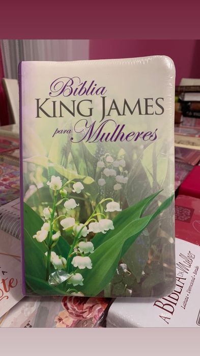 Biblias e livros