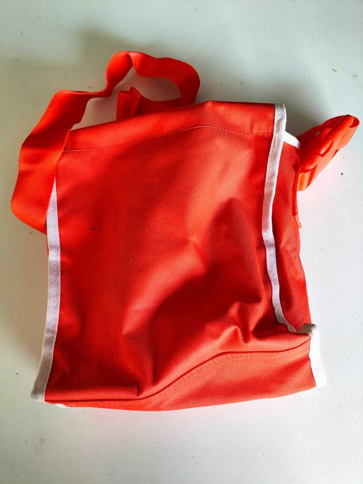 2 mochilas da Disney cars  de criança