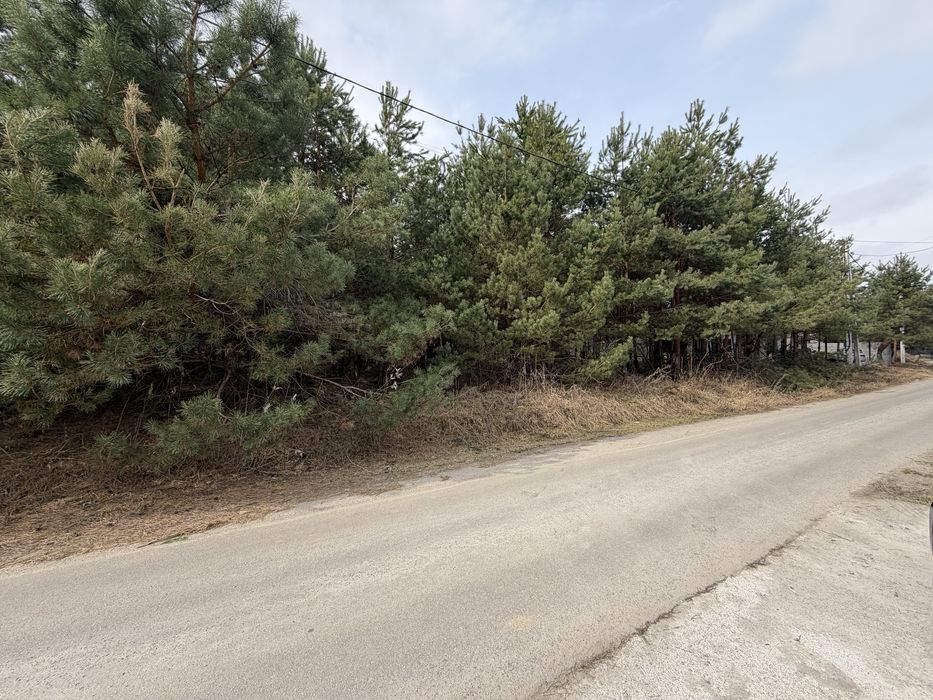 Продам ділянку під забудову в лісі 12,5 соток с. Бобриця, без %