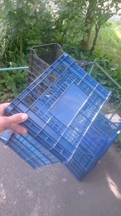 Продам тару пластикові ящики