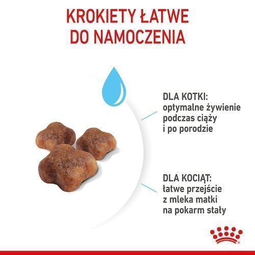 Karma sucha dla kociąt, kotek w ciąży i karmiących - Royal Canin 2kg
