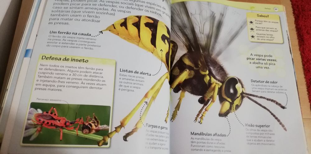 Enciclopédia infantil