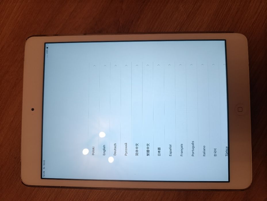 iPad mini 2 16 GB