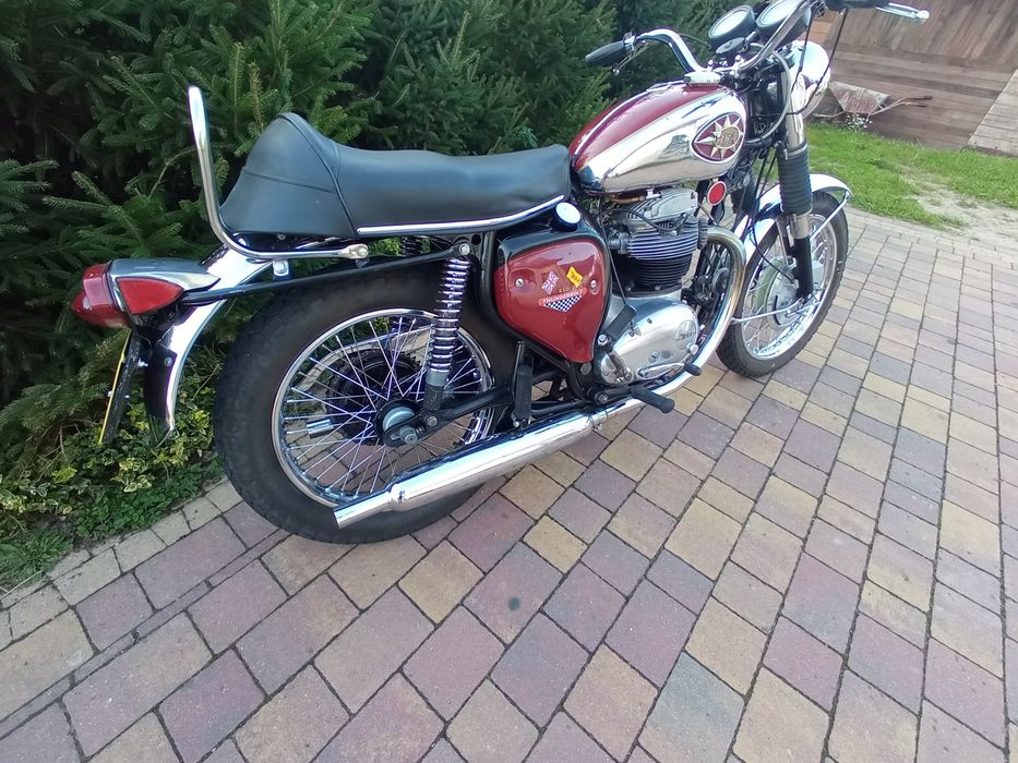 Bsa