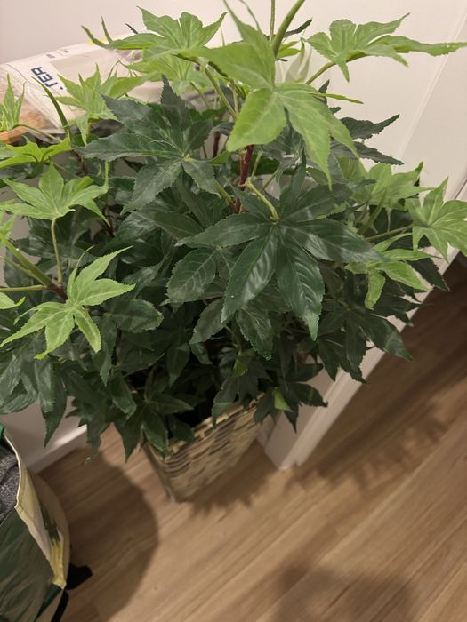 Planta artificial com vaso