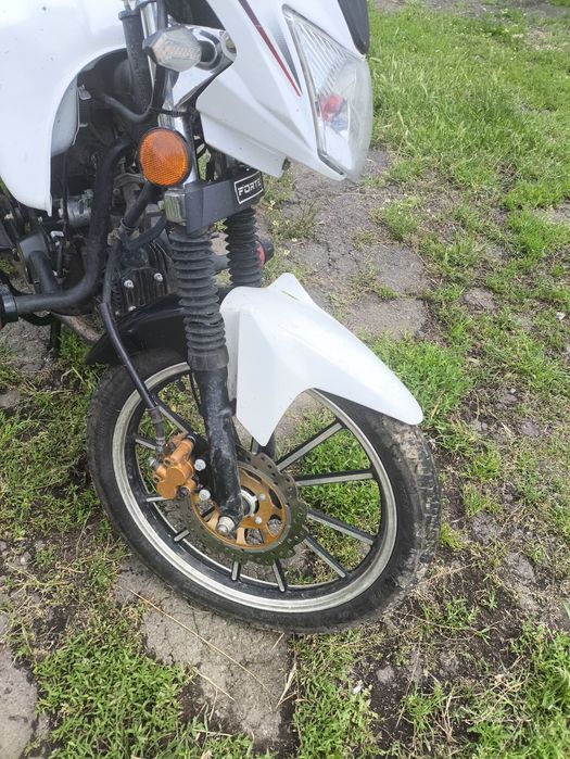 Alpha 125 lx champ