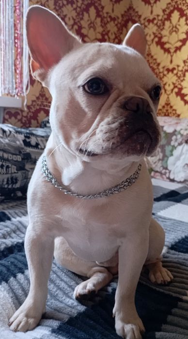 Кабель для в'язки