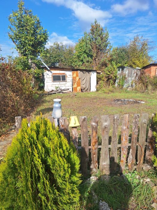 Сдам дом дача с отоплением твердотопл котел