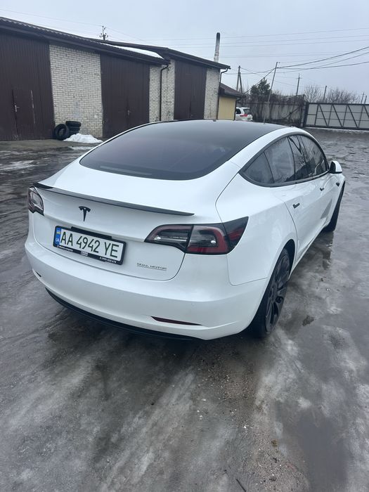 Тесла 3   Performans