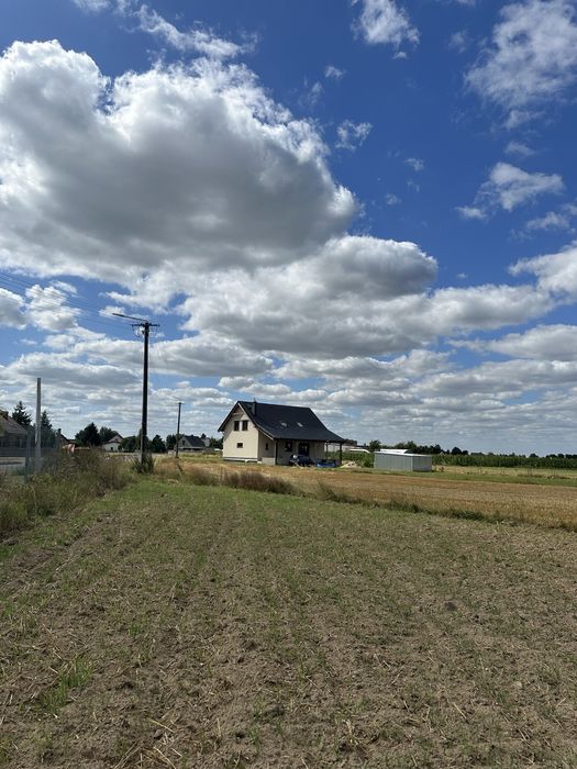 Zdjęcie 4