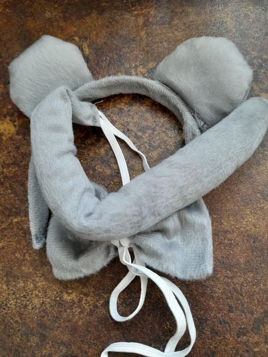 Gadżety do przebrań karnawałowych dla dzieci.