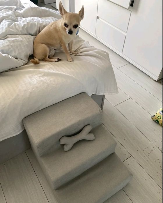 Сходинка для песиків. Світло-бежева