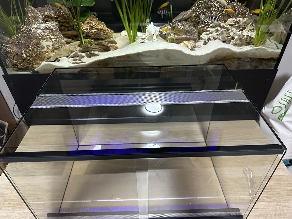 Terrarium 60x40x40