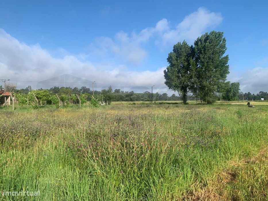 Terreno para construção em Estarreja