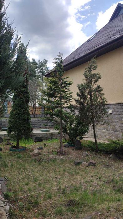 Земельна ділянка с. Сокирна