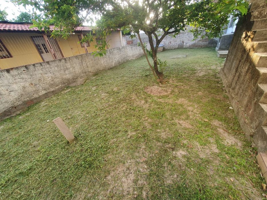 Limpeza de lotes e terrenos