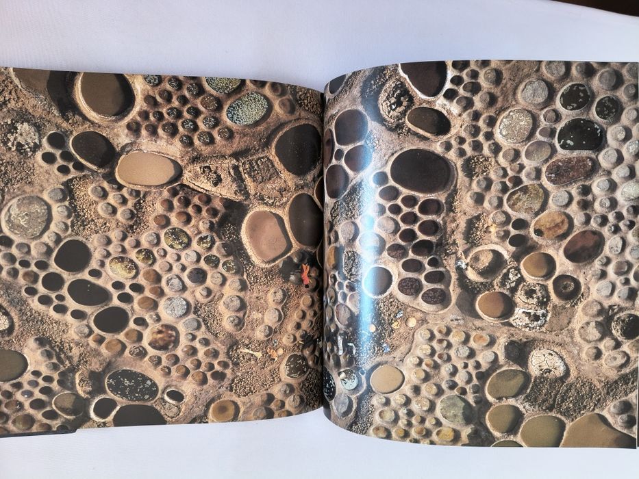 Livro Através das Lentes da National Geographic