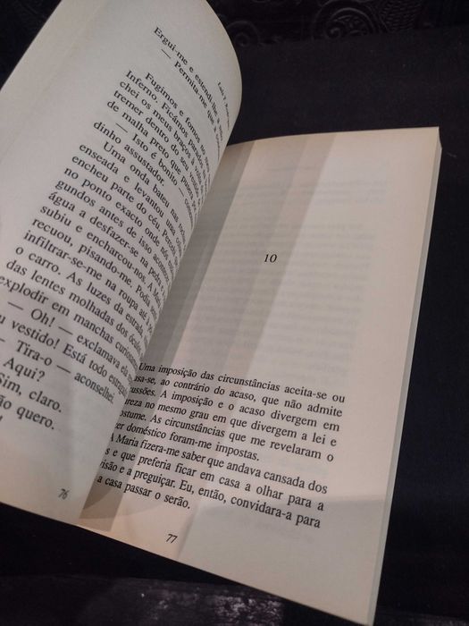 Os Dias Felizes - Luís T. Rodrigues