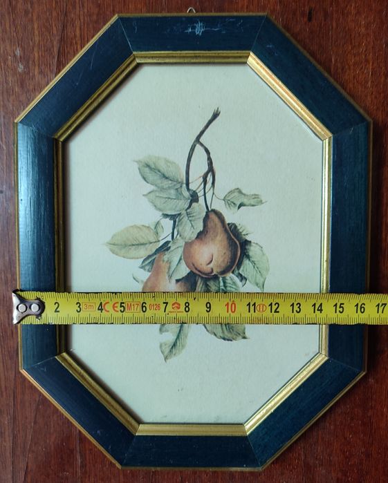 Conjunto de 4 quadros pequenos com frutas