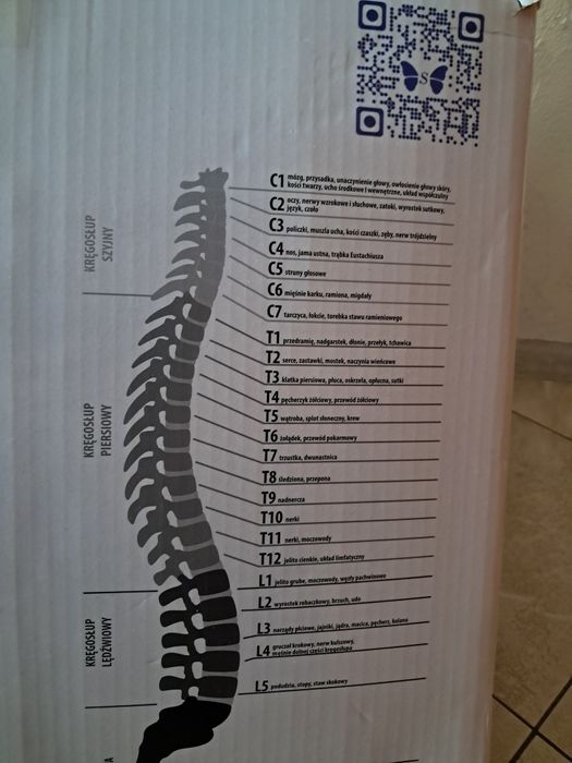 Masażer/Mata masującą Salute Wibrasense